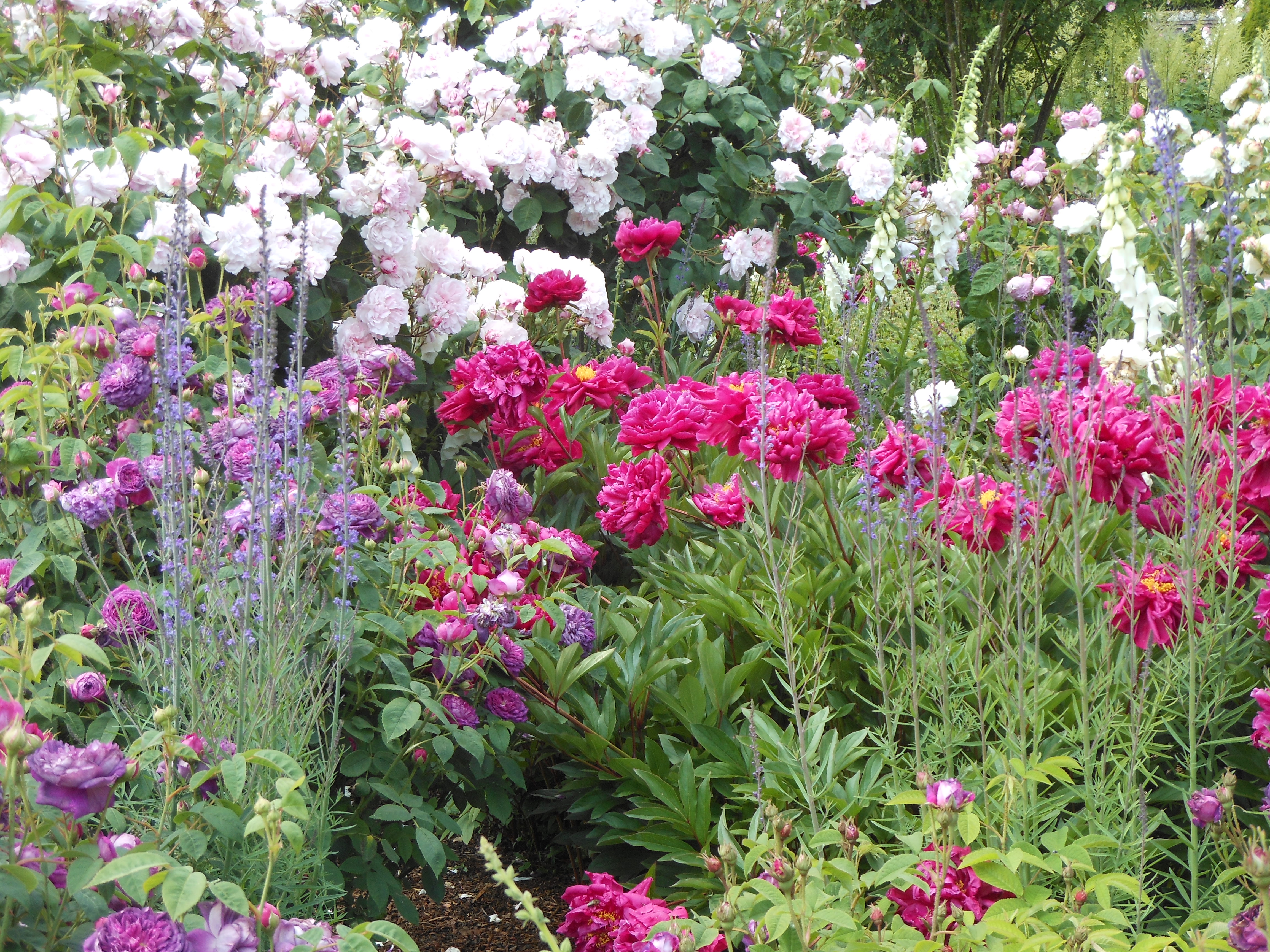 Well Dressings Bakewell